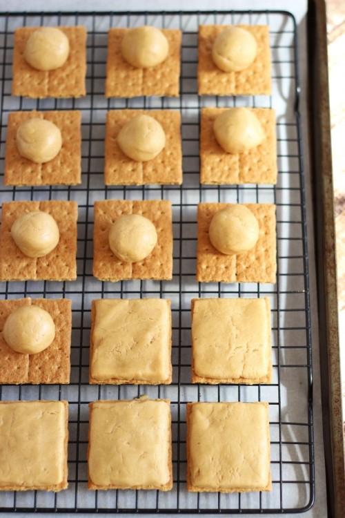 sweetoothgirl: BUCKEYE GRAHAM CRACKERS