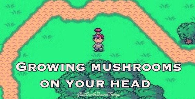 #justearthboundthings#earthbound#mother 2#ness