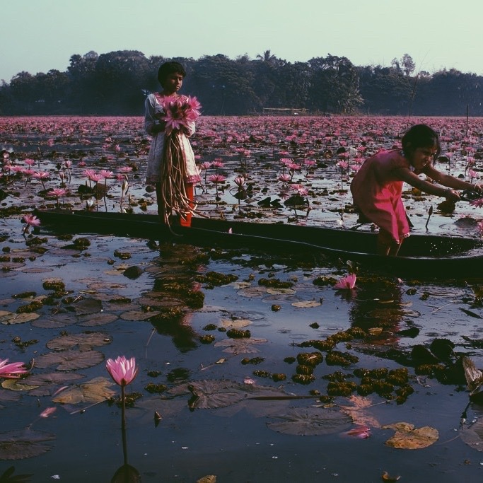sabahzora:language moodboard: bengali