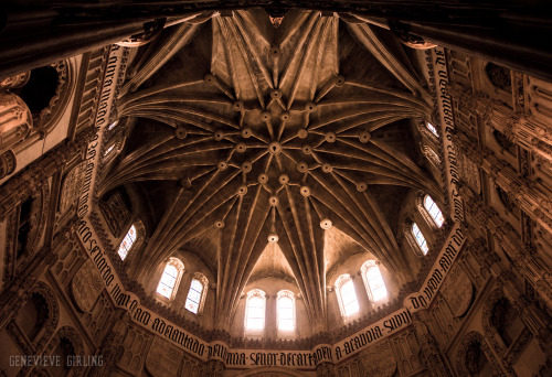 Morning light flooding into the 10 pointed cupola ceiling of the Vélez Chapel in the Catedral de San