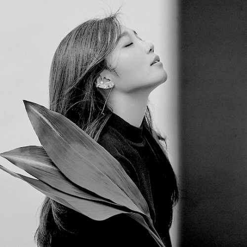 zionqt:    Kpop Concepts:Apink  Pink Revolution    