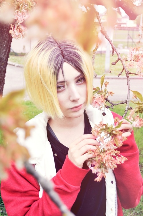 One spring day ✾❁❃Kenma Kozume (Haikyuu): HotaruI love spring, finally I was able to take some photo