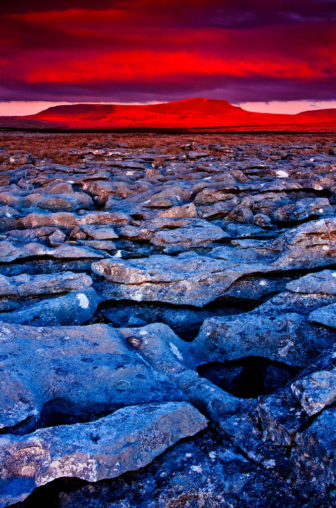 woodendreams:   (by Steve Thompson images) 