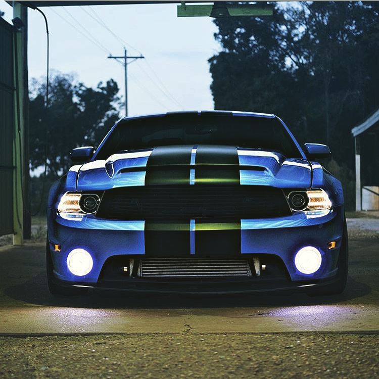 fullthrottleauto:  Pony. What color do you like? #cars