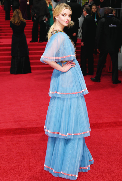 awardseason:Anya Taylor-Joyattends the 70th EE British Academy Film Awards at Royal Albert Hall on F