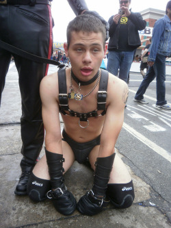 thenoblemaster:  love the vacant expression of a truly broken fag pup 