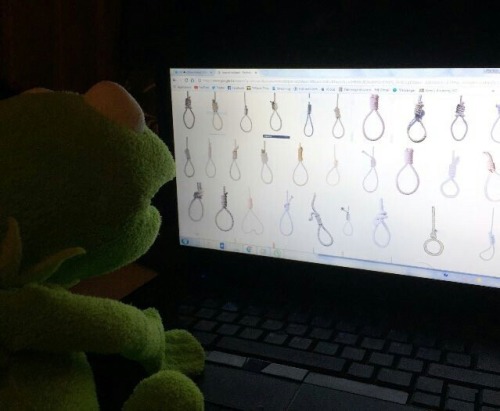 Porn Pics sadmemegf:  kermit mood: school