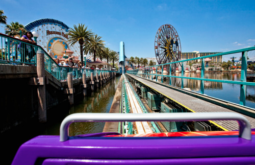 dashofdisney:Buckle UpFlickr credit: Cory Disbrow