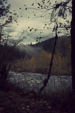 photosfromtheabyss:  On the shore of the Sandy river, Oregon.