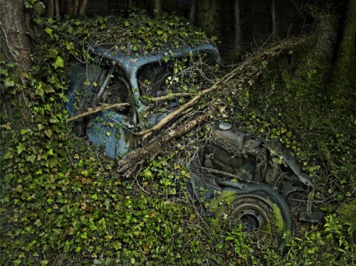 XXX nevver: Where did we park, Peter Lippman photo