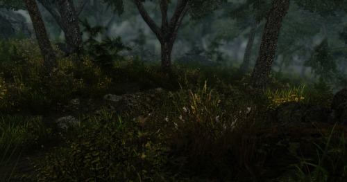 :Morning, Midday and Evening rains in Skyrim.