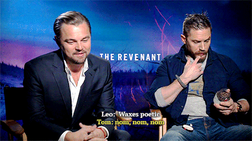 skywalkerspock:Leonardo DiCaprio &amp; Tom Hardy: a case study in opposites. Leo: Has a