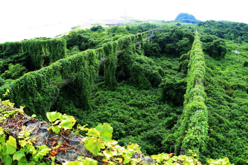 abandoned-playgrounds:  The Kawaminami Shipyard in the Imari Harbour in the Saga prefecture of Japan