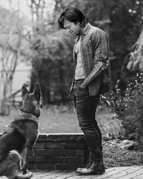 264jana:Hey Buddy! Do you want to go for a walk? ……. &gt;&gt;my photoshop edit