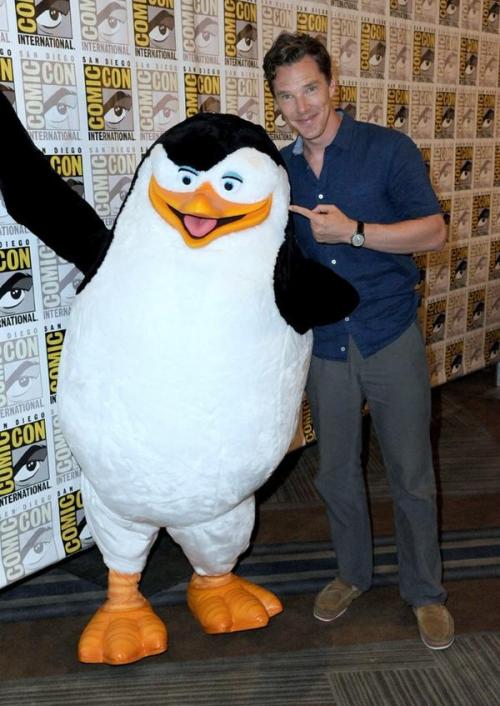 Benedict and the penguin later got into a violent argument about who was cuter.