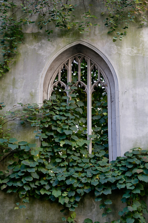 darkmacademia:+ st dunstan-in-the-east / london