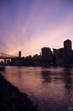 emilypowersphotography:  East River.