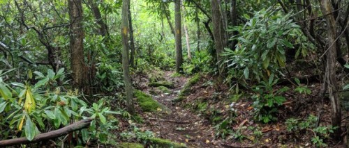 Laurel Highlands Trail, Pennsylvania