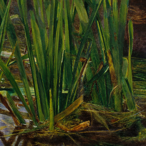 preraphaelist: hidden details in millais’ ophelia:  a robin perched on a branch in the up