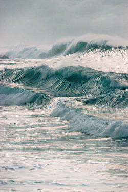 brutalgeneration:  Waimea Shorebreak by malpractice on Flickr.