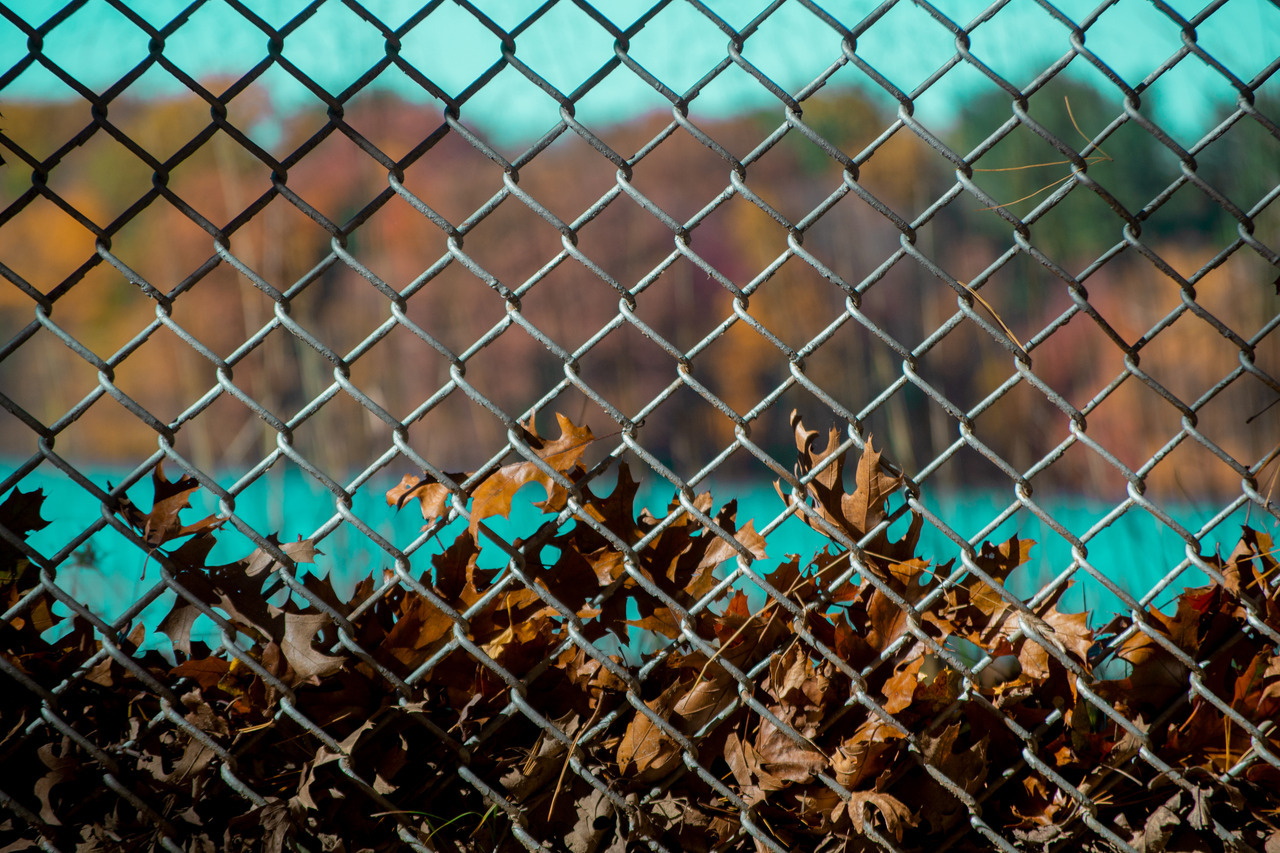Tumblr Photo