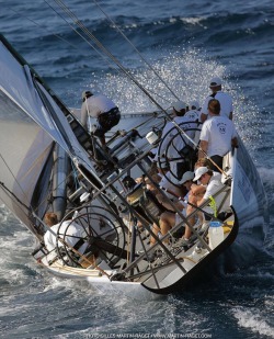 justtblue:America’s Cup 📸 Gilles porn pictures