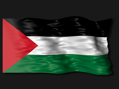 Just Putting This Out There Because We Will Never Stop Talking About Palestine. I Don't Remember The