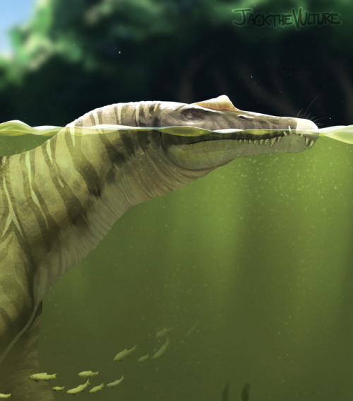 justjacksart - My submission for @50shadesofspinosaurus Zine!...
