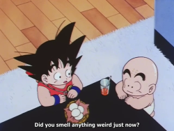 bitchesaloud:  goku u little shit 