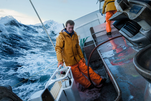 skandinaviskhet:“Last of the Viking Whalers” — a way of life drawing to a close on the Lofoten Islan