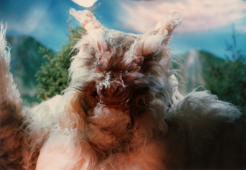 kaijusaurus:Legendary Beast Wolfman vs. Godzilla (1983).
