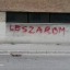 egyhalottsziv