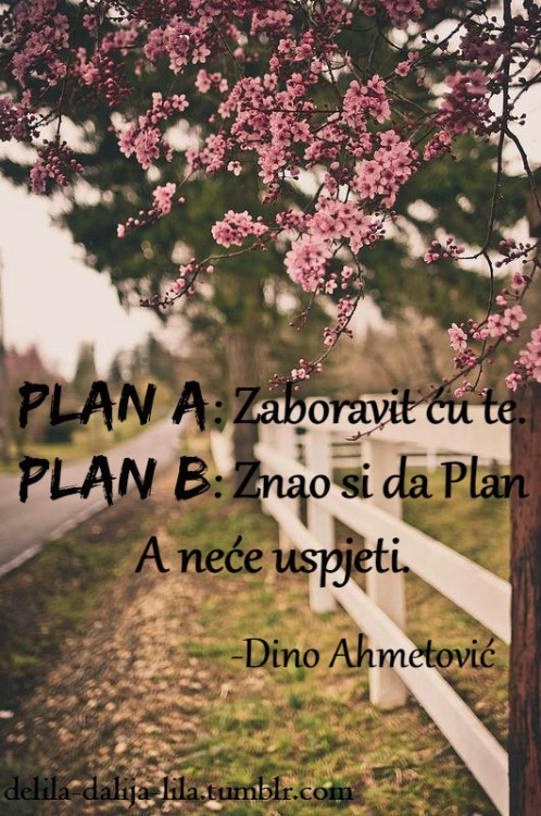 delila-dalija-lila:  -Dino Ahmetović
