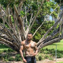 bladeyamagishi:  David Mcintosh 