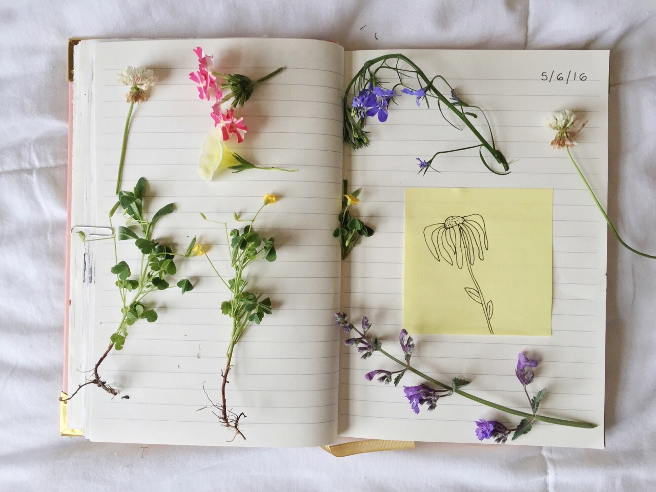 florallpeach:  💐🌻🌾🍃🌷 