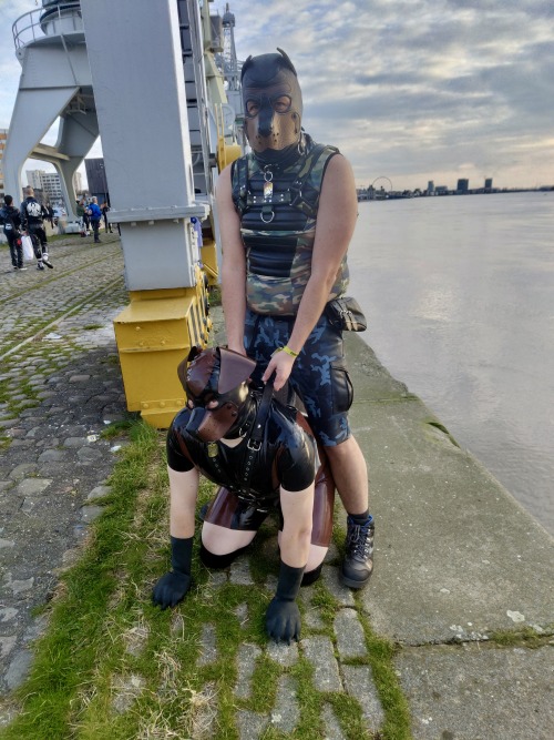 The Mandatory Crane Images From Darklandsthanks @PupRufusAD For The Pics