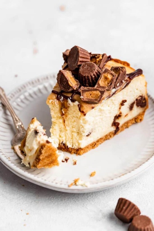 fullcravings:Peanut Butter Cup Cheesecake