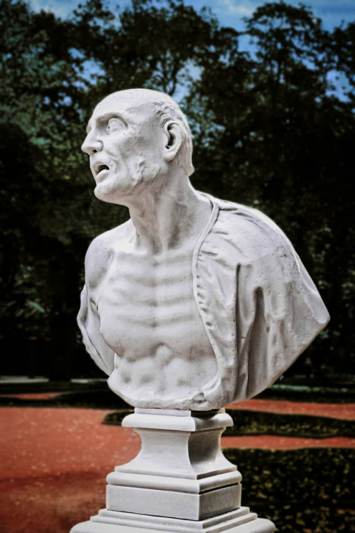 Marble busts of the ancient philosophers in The Summer Graden, St. Petersburg, Russia1. Aristotle “T