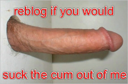 bailey68sworld:  sissy-stable:  Would you suck cum out of this ?  All day  gostoso&hellip;