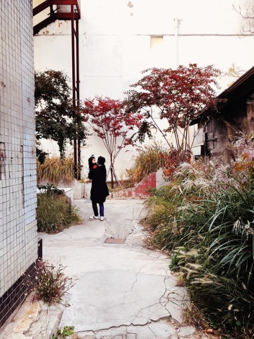 Autumn in Seongsu-dong: Daelim Changgo and Onion.