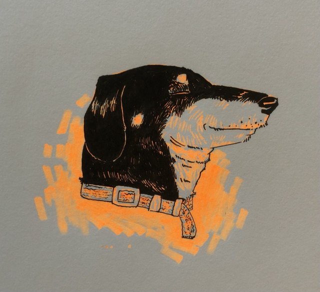 sleeping, smiling drawing of a dachshund. its in black pen and orange highlighter. 