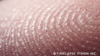 blindlybumblingbeyondourrealm:  sixpenceee:  Sweat in fingertips up close and personal.