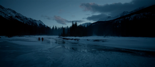 The Revenant (2015) - Alejandro González Iñárritu. It’s okay son… 