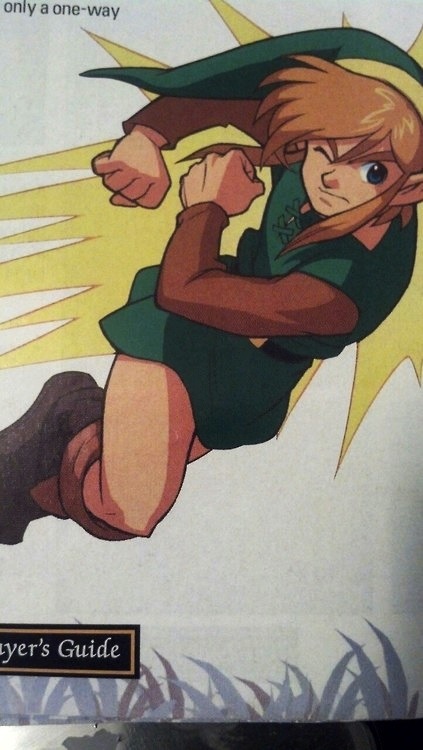 theytookthelittleones: so i found my old official guide to link to the past today