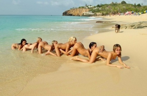 whitec0ck4asianh0les:  It’s like that movie “human centipede”. Well, sorta.