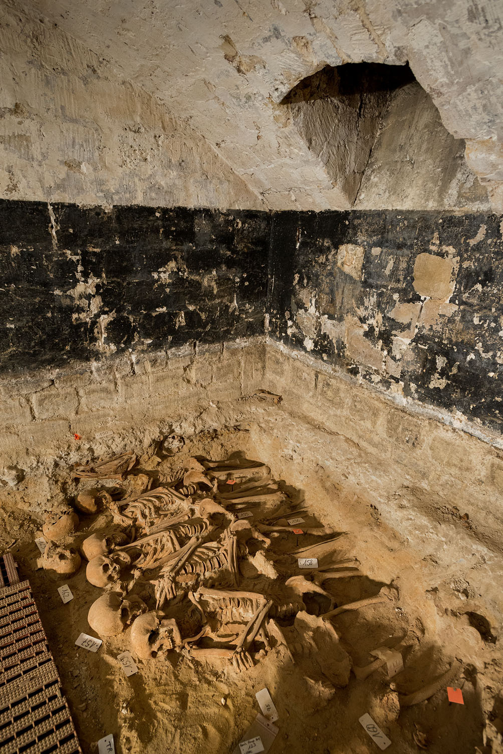 nevver:  Don’t look in the basement, 200 skeletons found in Paris