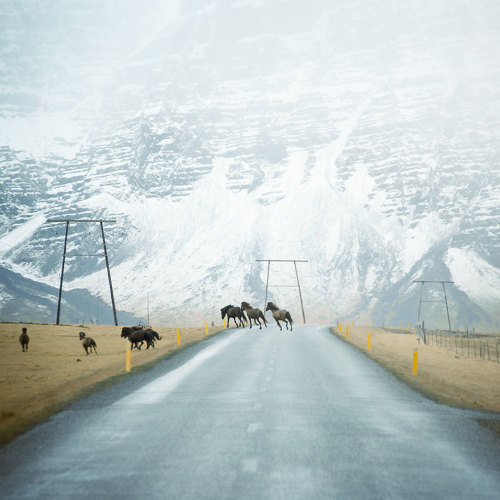 asylum-art:Photographer Captures Roads In Desolate Landscapes Around The WorldMore info: andylee.co 