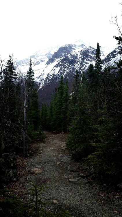 zsandcoffee:  Hiked out to Echo Bend at Crow Pass yesterday. Chilly, but beautiful.