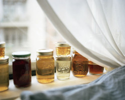 cuprikorn:tea jars on sill by julia stotz