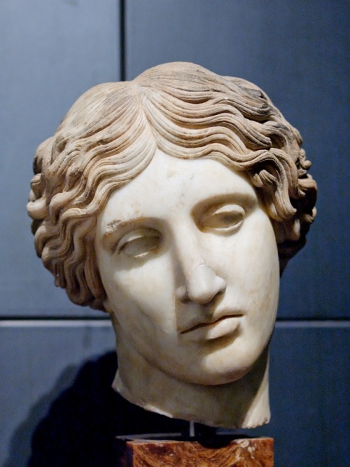 Head of a wounded Amazon of the so-called “Capitol-Sosicles” type; Roman marble copy after a lost Gr